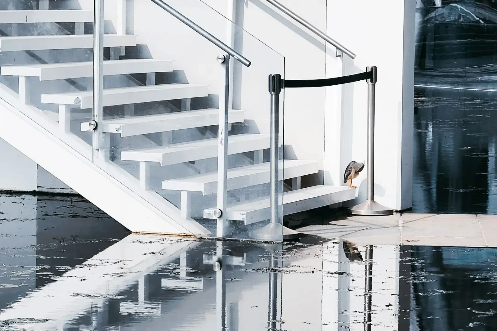 Flood water covering a floor at the foot of a staircase